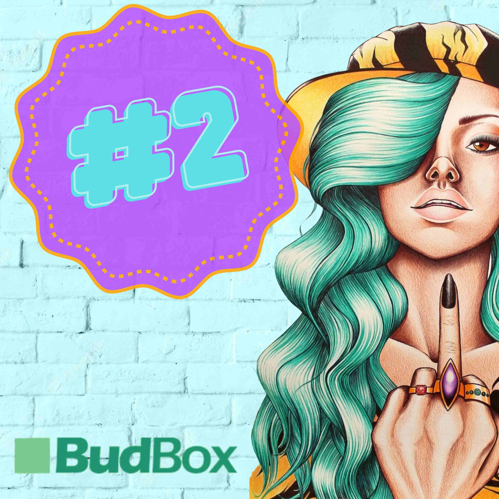 SEXY GREEN HAIRED URBAN GIRL WITH FLASHY RINGS WEARING A LEOPARD PRINT CAP AND HOLDING UP MIDDLE FINGER BESIDE BUDBOX LOGO - TOP THREE BEST SELLER HYDRO PRODUCT BRANDS IN UK AND EUROPE