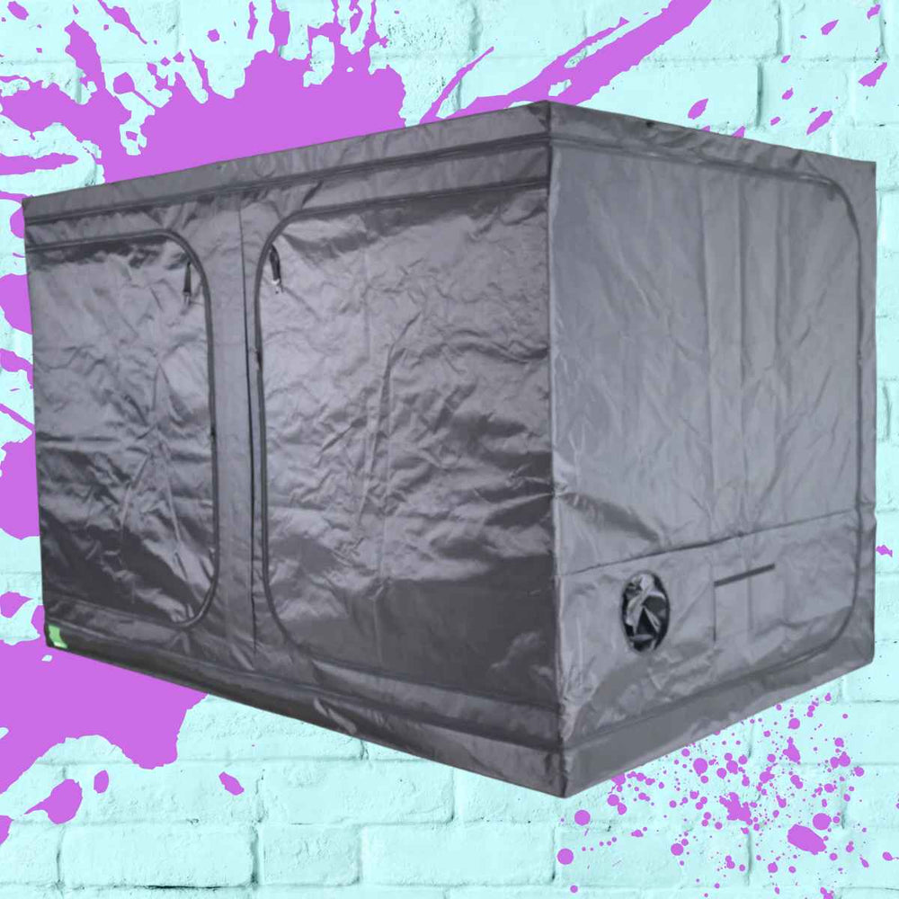 Close-up view of BudBox Lite 200x300x200cm indoor grow tent features like strong metal frames and waterproof drip tray.