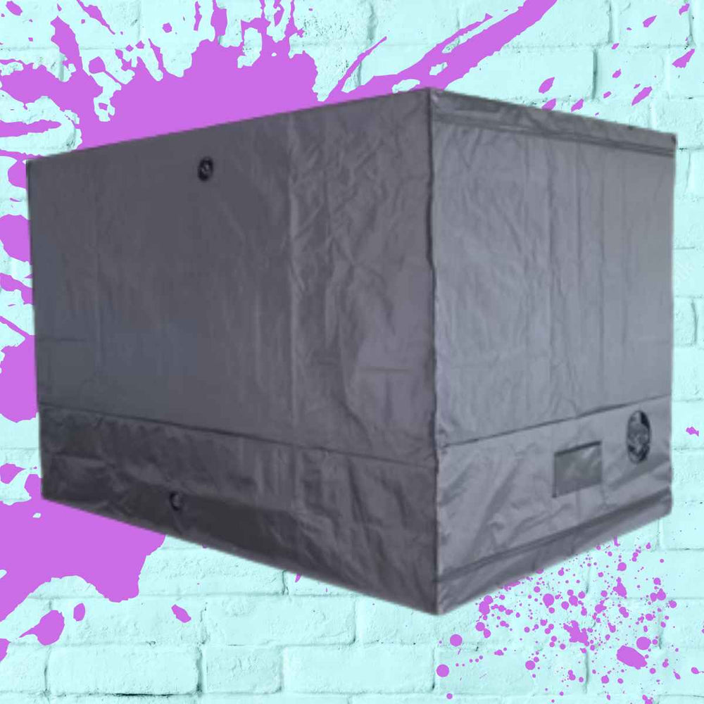 BudBox Lite 200x300x200cm indoor grow tent showcasing its durable design and spacious interior for optimal cultivation.