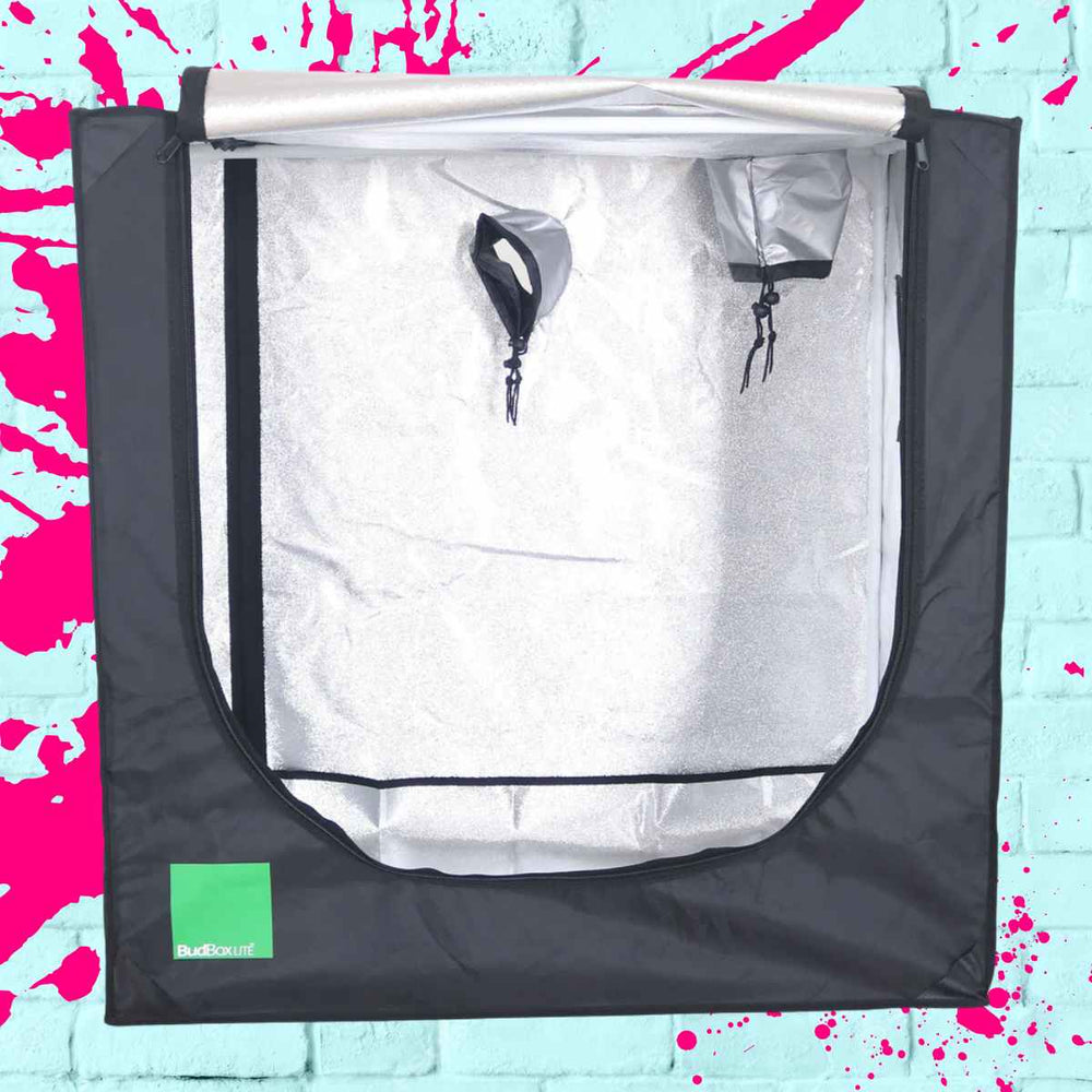 BudBox Lite Tent 60x90x90cm - the best budget grow tent for indoor growing with durable materials and ventilation options, perfect for portable gardening.
