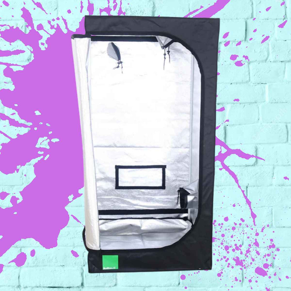 BudBox Lite Tent 80x80x200cm - the best quality plant tent for indoor growing, featuring a durable frame and excellent ventilation.
