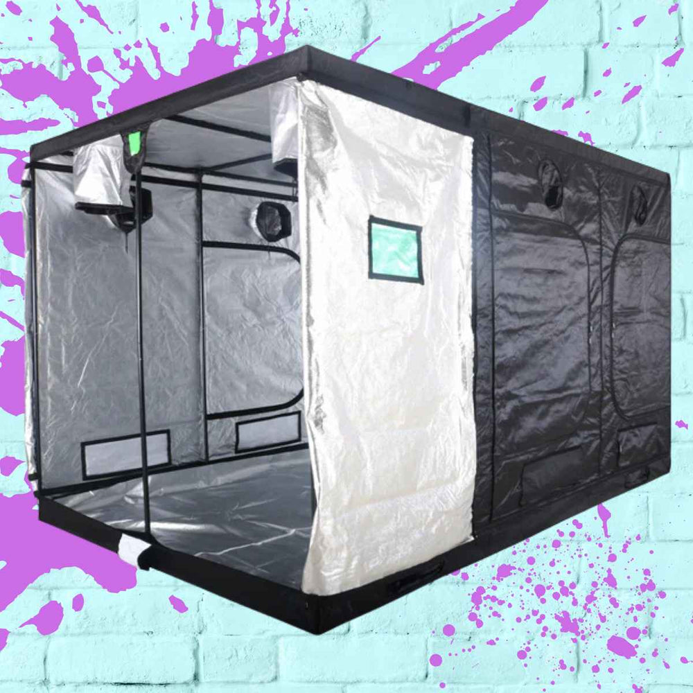 BudBox-Pro Tent 3.6m x 2.4m x 2.2m (Titan 2 Tall) Silver, ideal for indoor plant growth with durable materials and excellent light reflection.