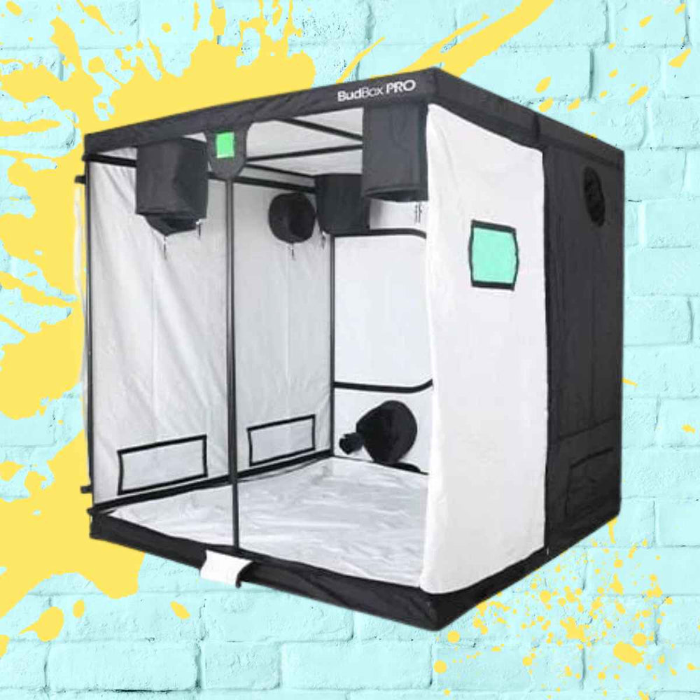 BudBox Pro Titan-1HL Tall large grow tent 200x200x220cm offering high-quality indoor growing conditions.
