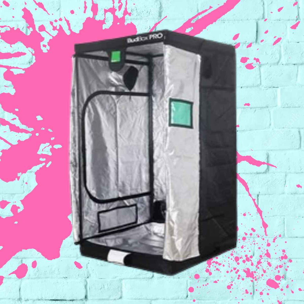 Interior view of the BudBox Pro XL-Tall 120x120x220cm large grow tent featuring heavy-duty poles and reflective coating for enhanced light efficiency.