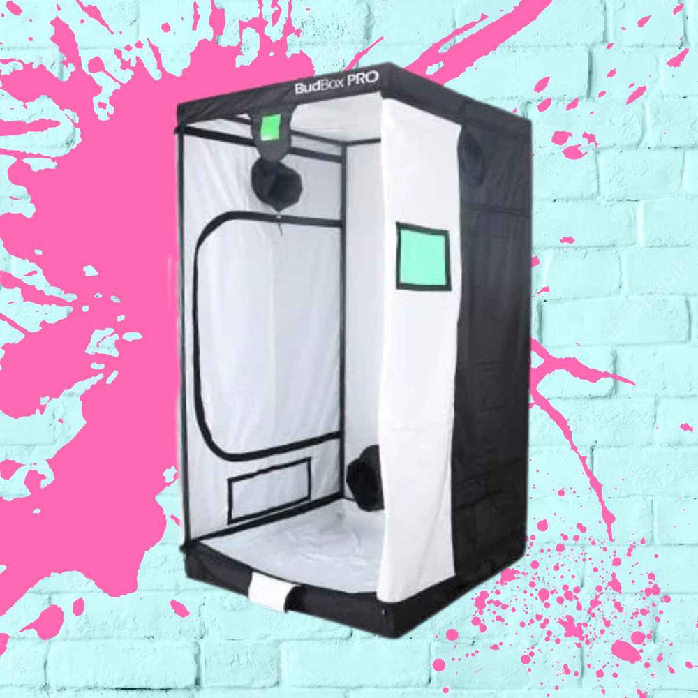 BudBox Pro XL-Tall 120x120x220cm large grow tent showcasing durable construction and spacious interior for optimal indoor plant growth.