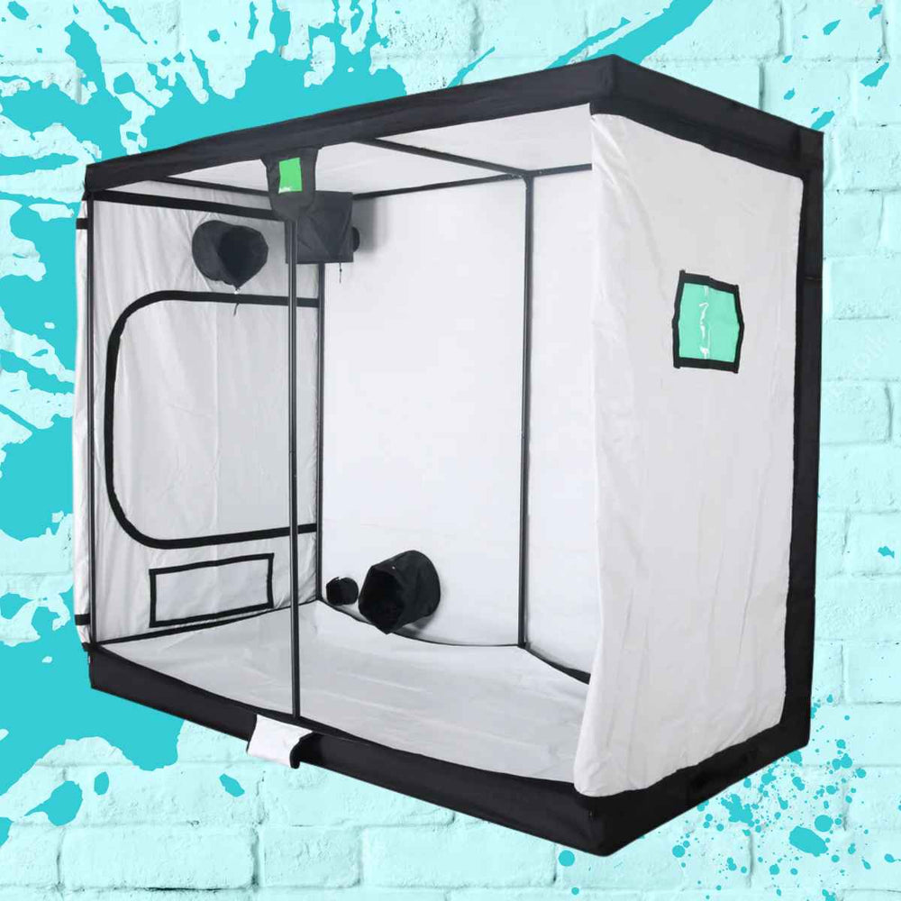 BudBox Pro XXL 120x240x200cm - a spacious large grow tent ideal for indoor gardening.