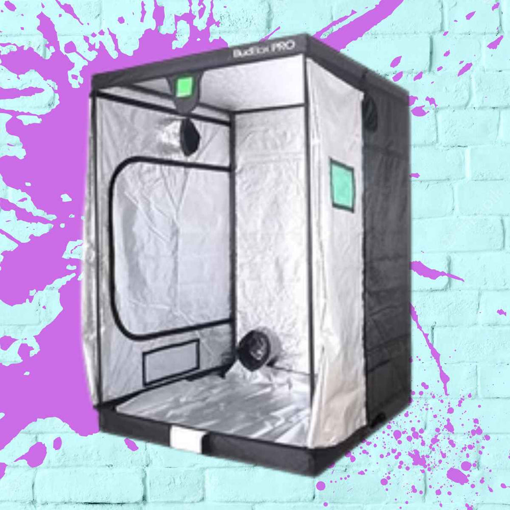 Interior view of BudBox Pro XXL Plus Tall 150x150x220cm, showcasing the ample space of this large grow tent.