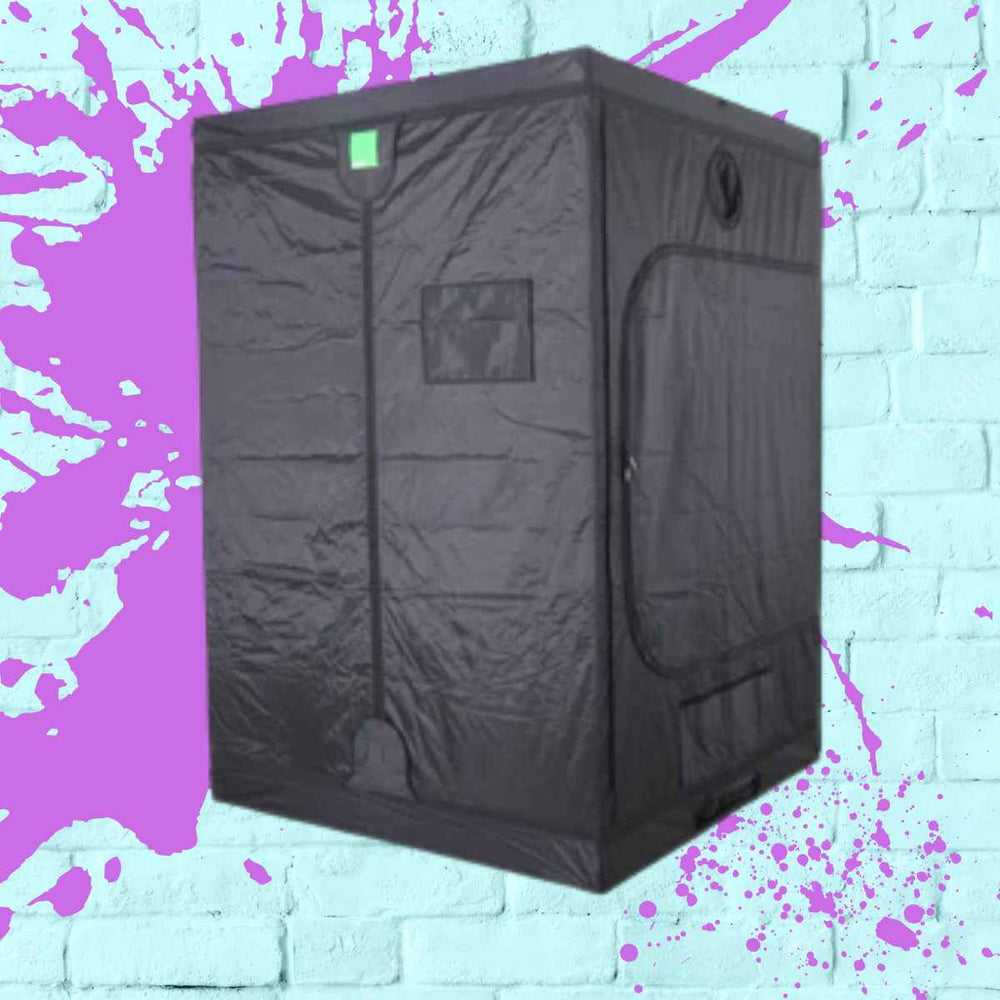BudBox Pro XXL Plus Tall grow tent setup in a stylish indoor environment, perfect as a large grow tent.