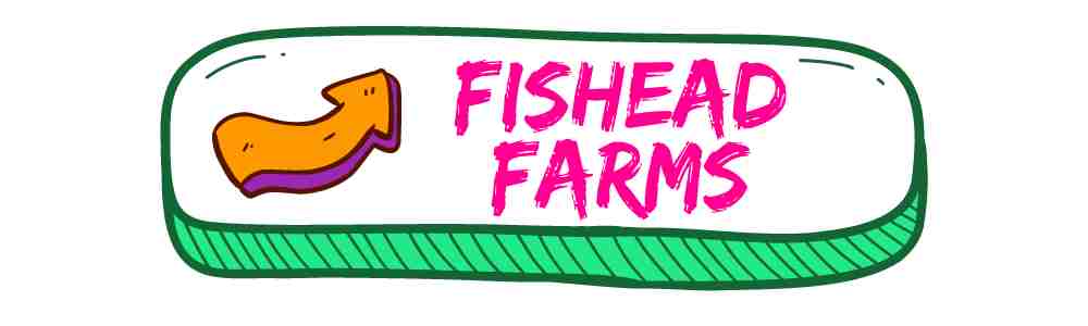 FISH HEAD FARMS COLLECTION BUTTON WITH COLOURFUL BENDY ARROW
