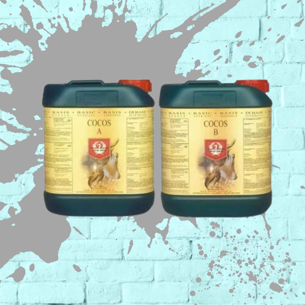 Big dark green bottle with red cap 5Litar