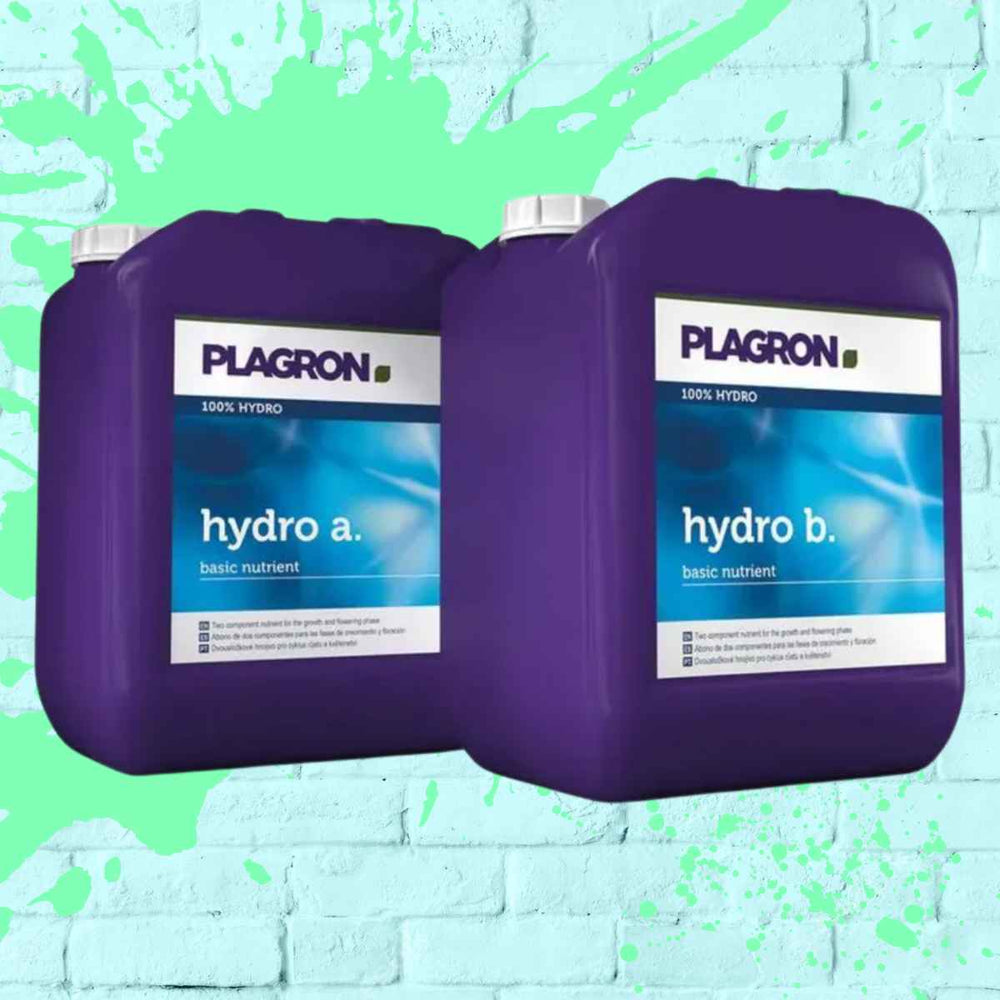 Plagron Hydro A+B - a premium liquid plant fertilizer designed for optimal growth in hydroponic systems.
