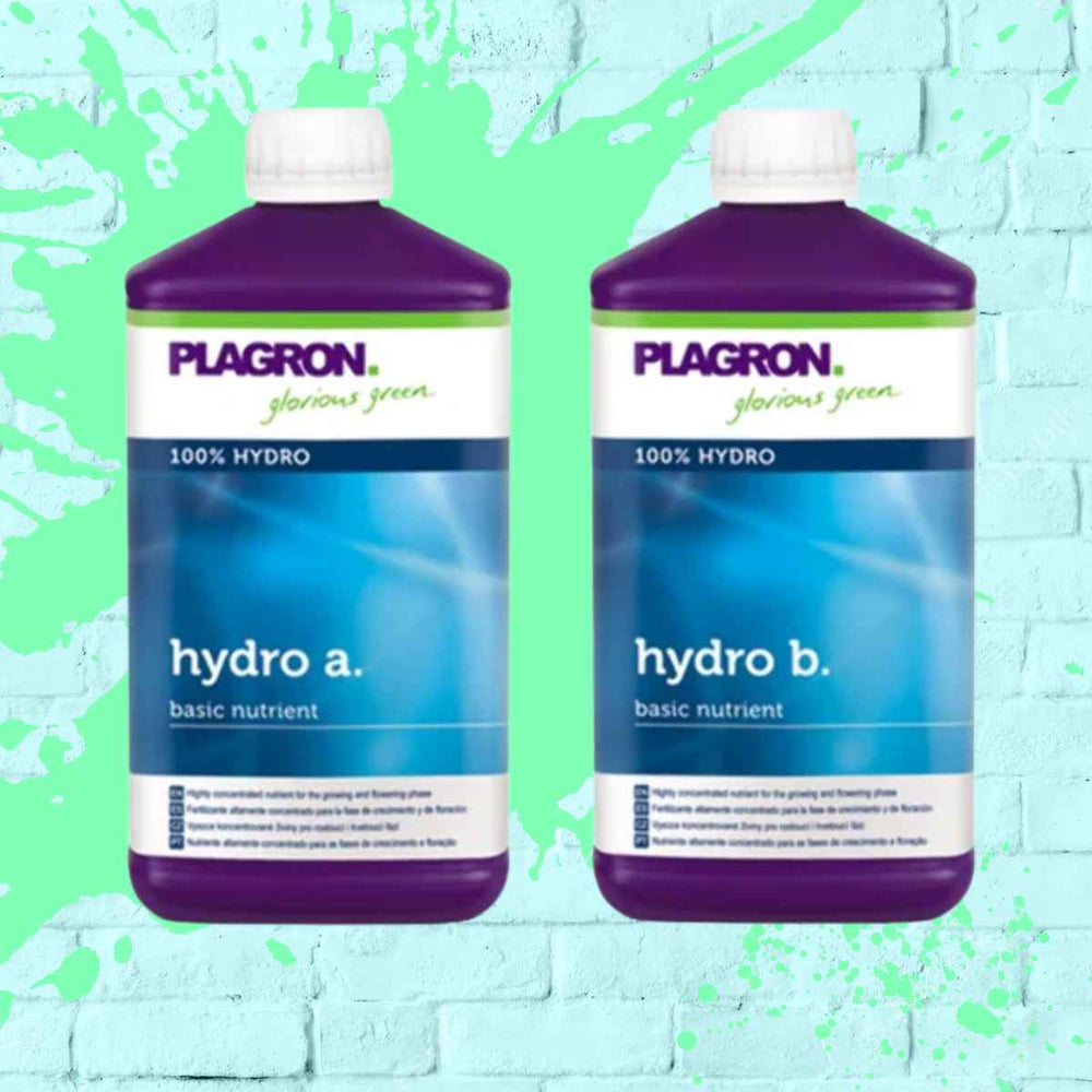 Plagron liquid plant fertilizer Hydro A+B, essential for achieving quality nutrients in hydro gardening.
