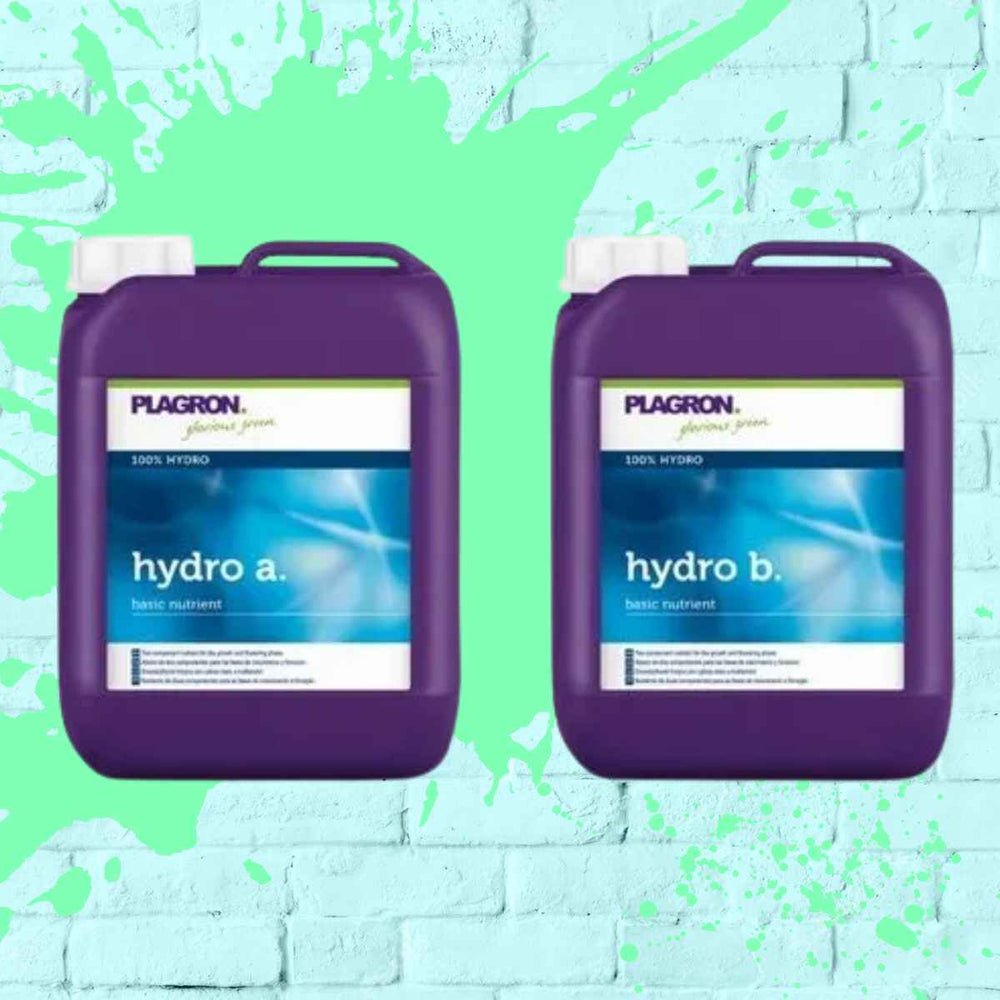 Hydro A+B by Plagron - concentrated liquid plant fertilizer for enhancing plant growth and flowering phases.