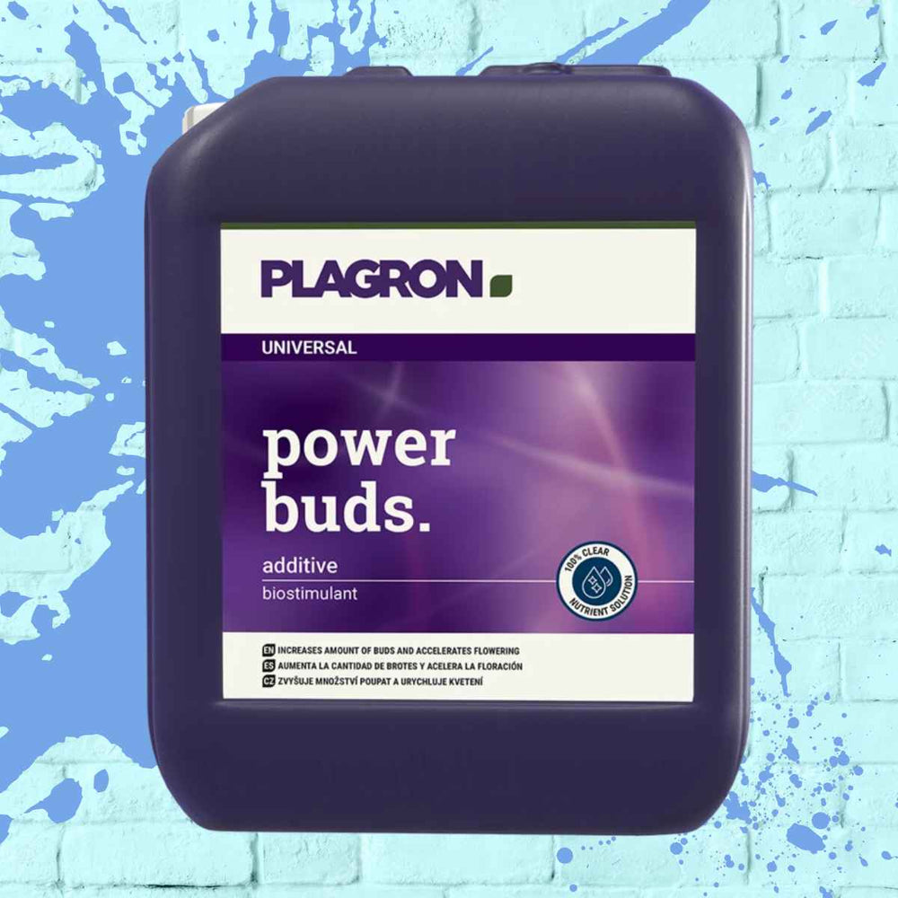 Plagron Power Buds - Flower boosting fertilizers for vibrant blooms and enhanced plant growth.