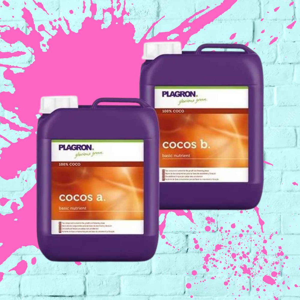 Plagron Cocos A+B - Essential liquid plant nutrients for buffered coconut substrate cultivation.