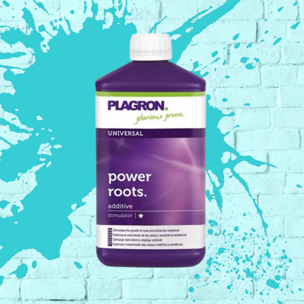Bottle of Plagron Power Roots, the effective root growth stimulator for stronger plant roots.