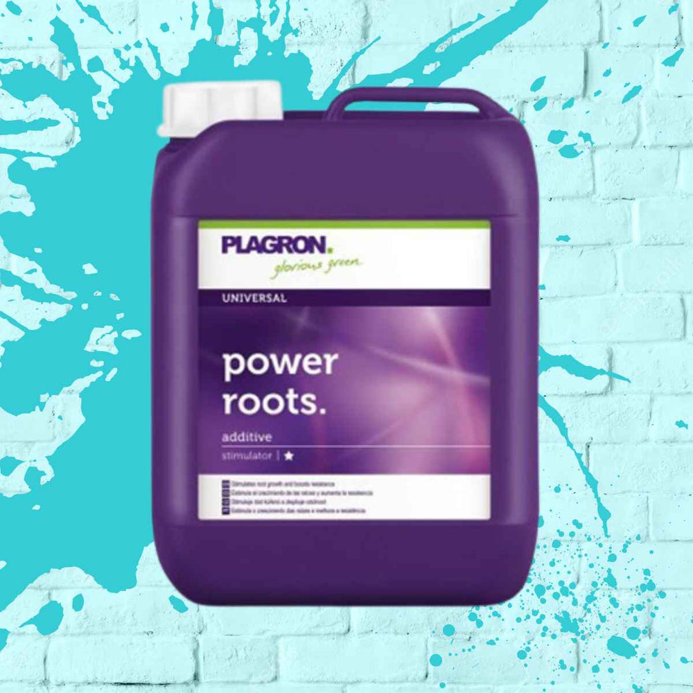 Plagron Power Roots, a premium root growth stimulator, enhances plant root development and vitality.