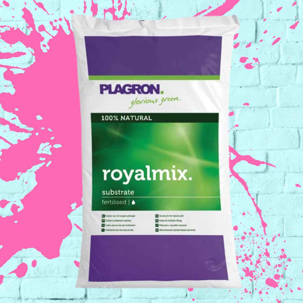 Plagron Royalty Mix 50L Bag - Premium organic potting mix for vigorous plant growth.