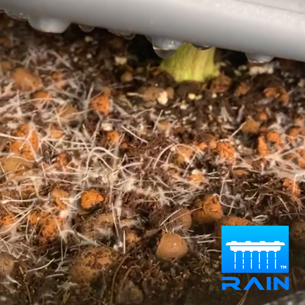 ALIEN® RAIN™ System