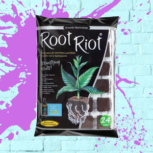 Root Riot Cubes - Growth Technology 24 cubes and tray