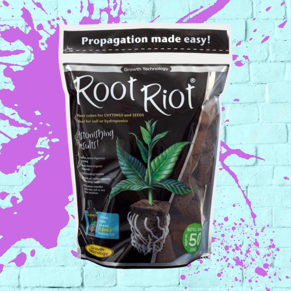 Root Riot Cubes - Growth Technology 50 cubes refill pack