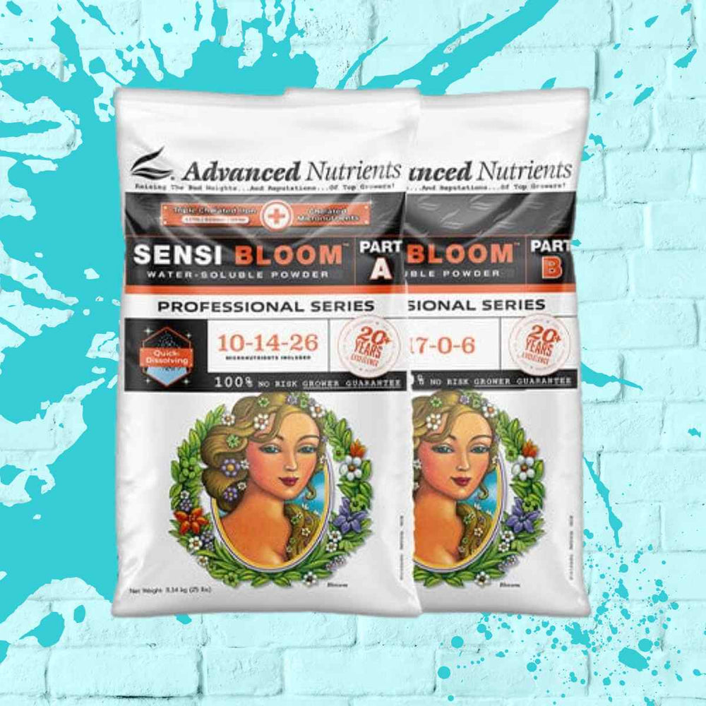 Sensi Bloom Powder A & B - Advanced Nutrients - 500g 1kg 5kg 10kg