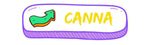 CANNA COLLECTION BUTTON WITH COLOURFUL BENDY ARROW