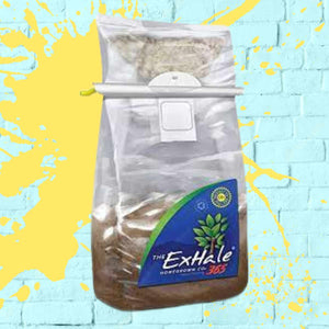 exhale co2 bags for grow tent, clear bag with wood and mushroom inside size 365