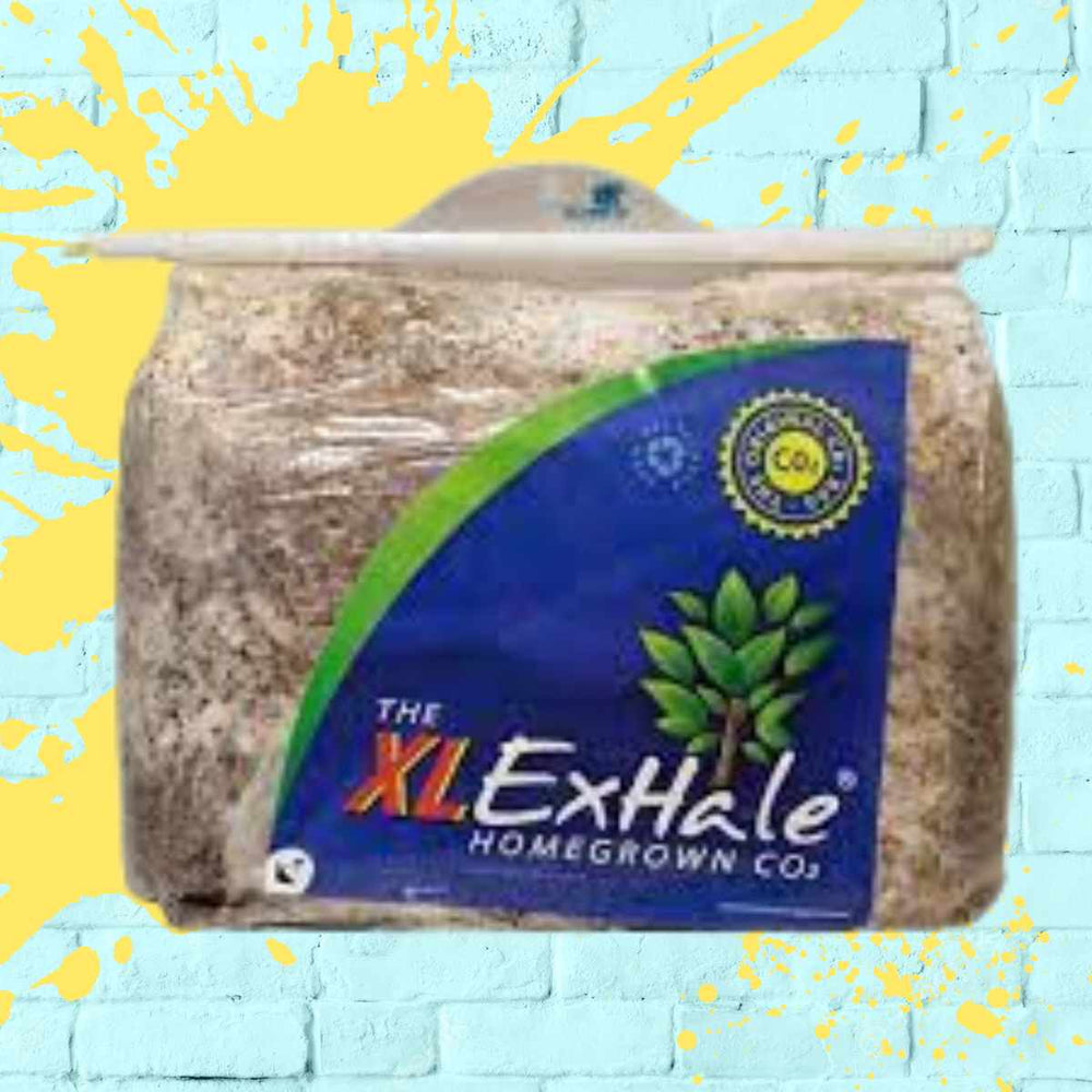 exhale co2 bags for grow tent, clear bag with wood and mushroom inside size xl
