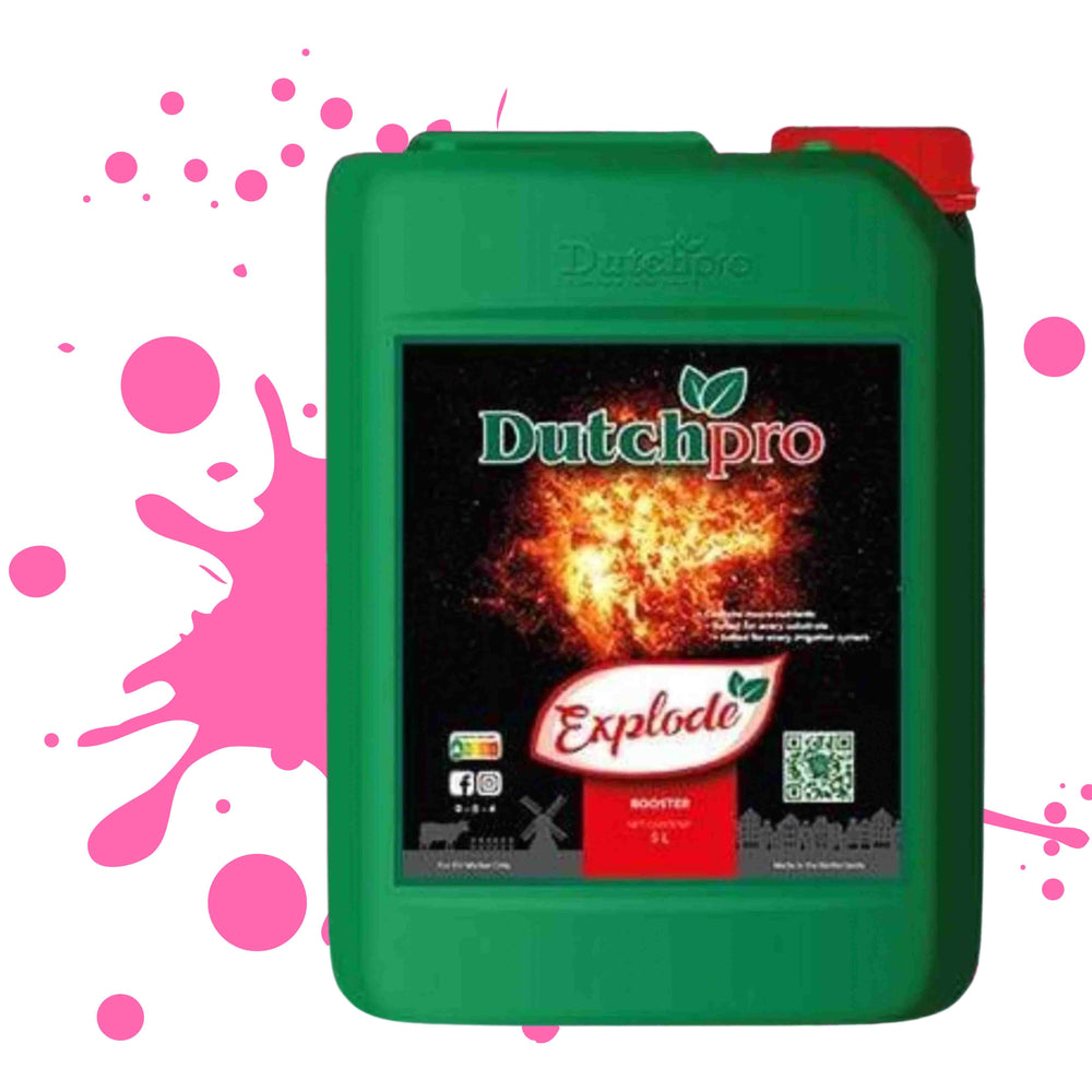 DUTCH PRO EXPLODE 5L BOTTLE ON WHITE BACKGROUND WITH PINK PAINT SPLATTER