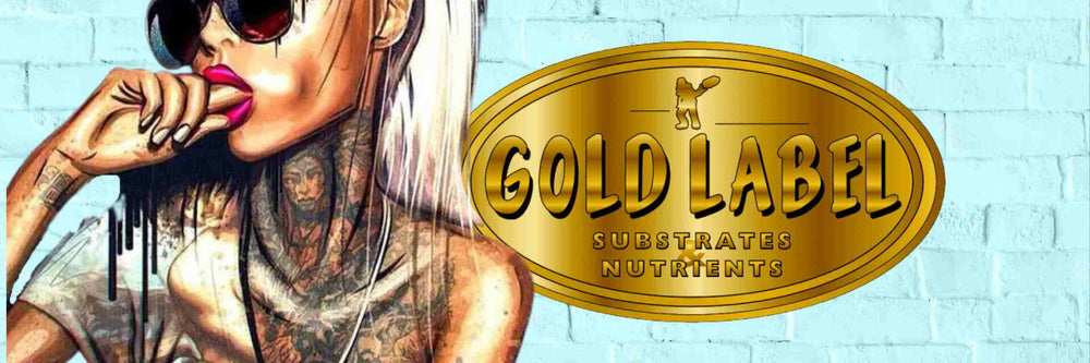 GOLD LABEL LOGO AND SEXY URBAN GIR WITH SILVER HAIR, SUNGLASSES, AND A NECK TATTOO, POPPING A FINGER IN HER CHEEK
