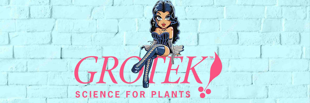 SEXY DOMINATRIX CARTOON WITH THIGH HIGH BOOTS AND A CORSET SITTING ON LARGE GROTEK LOGO