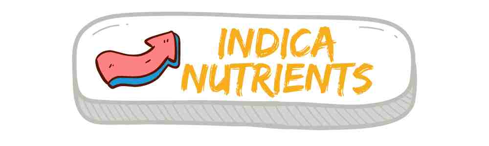 INDICA NUTRIENTS COLLECTION BUTTON WITH COLOURFUL BENDY ARROW