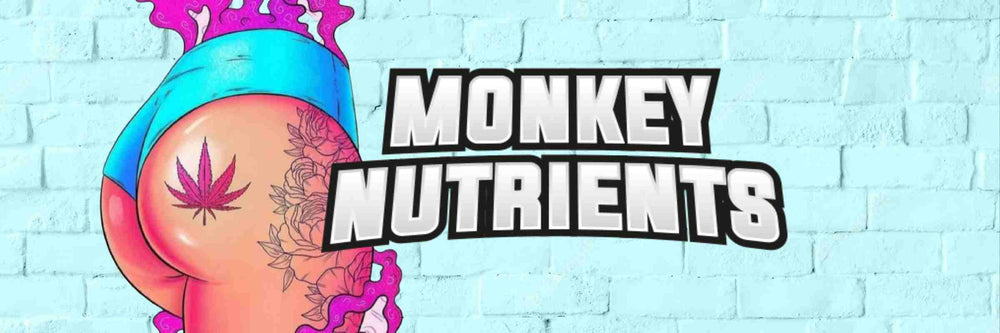 MONKEY NUTRIENTS LOGO AND SEXY GIRL'S BUM AND LEGS WITH LEAF TATTOO AND BRIGHT BLUE KNICKERS