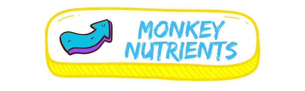 MONKEY NUTRIENTS COLLECTION BUTTON WITH COLOURFUL BENDY ARROW