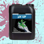 pH UP - Growth Technology in black bottle 5L, 5 Litre