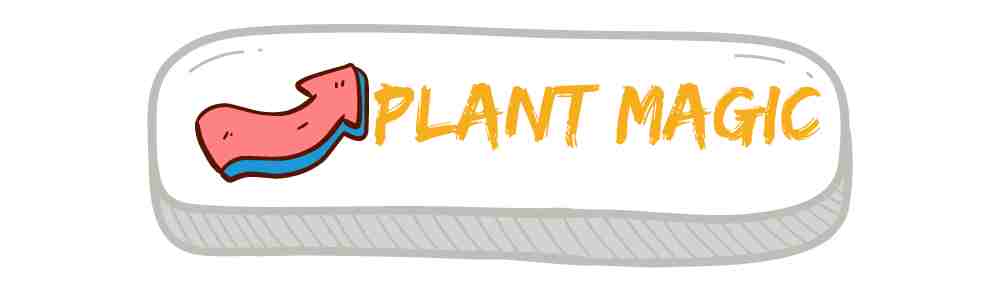 PLANT MAGIC COLLECTION BUTTON WITH COLOURFUL BENDY ARROW