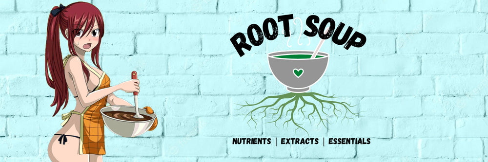 sexy female chef making soup wearing only an apron, beside the root soup logo against a blue brick background.