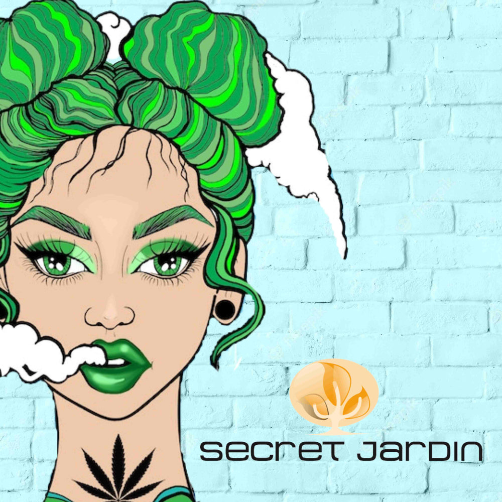 Inside view of the Secret Jardin Lodge L160, showcasing its reflective Mylar material, perfect for an affordable grow tent.