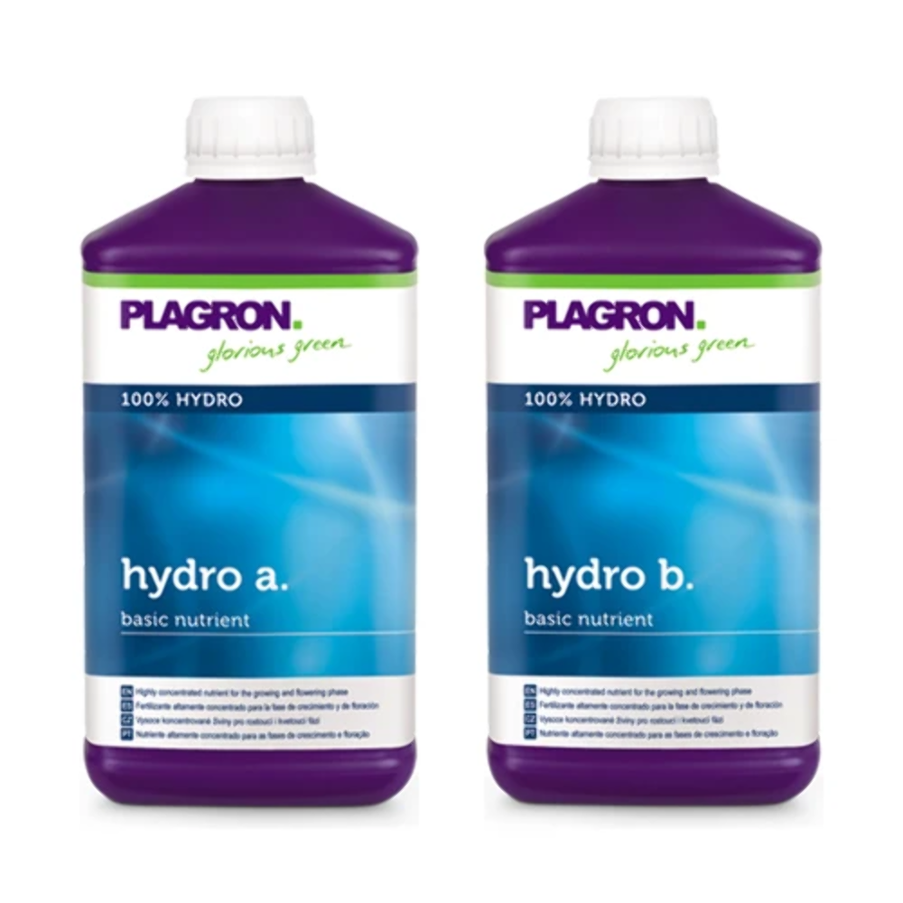 PLAGRON HYDRO A+B