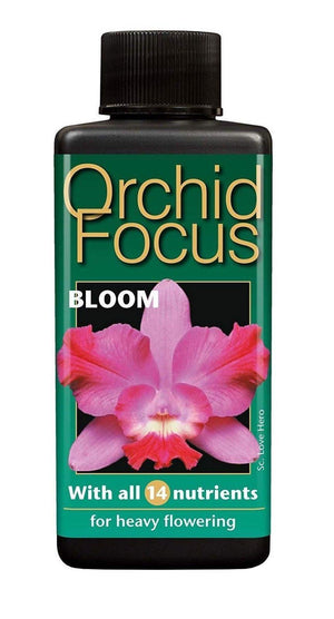 Orchid Focus Bloom - Growth Technology