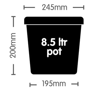 Autopot 8.5L Black measurements: 195mm (bottom) 245mm (top) 200mm (height)