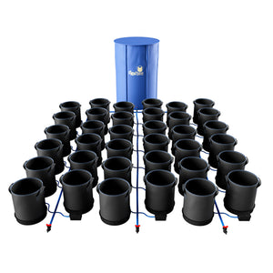 
            
                Load image into Gallery viewer, AutoPot XXL 50L 1-100 Pot System. Example shown with 36 pots and water tank.
            
        