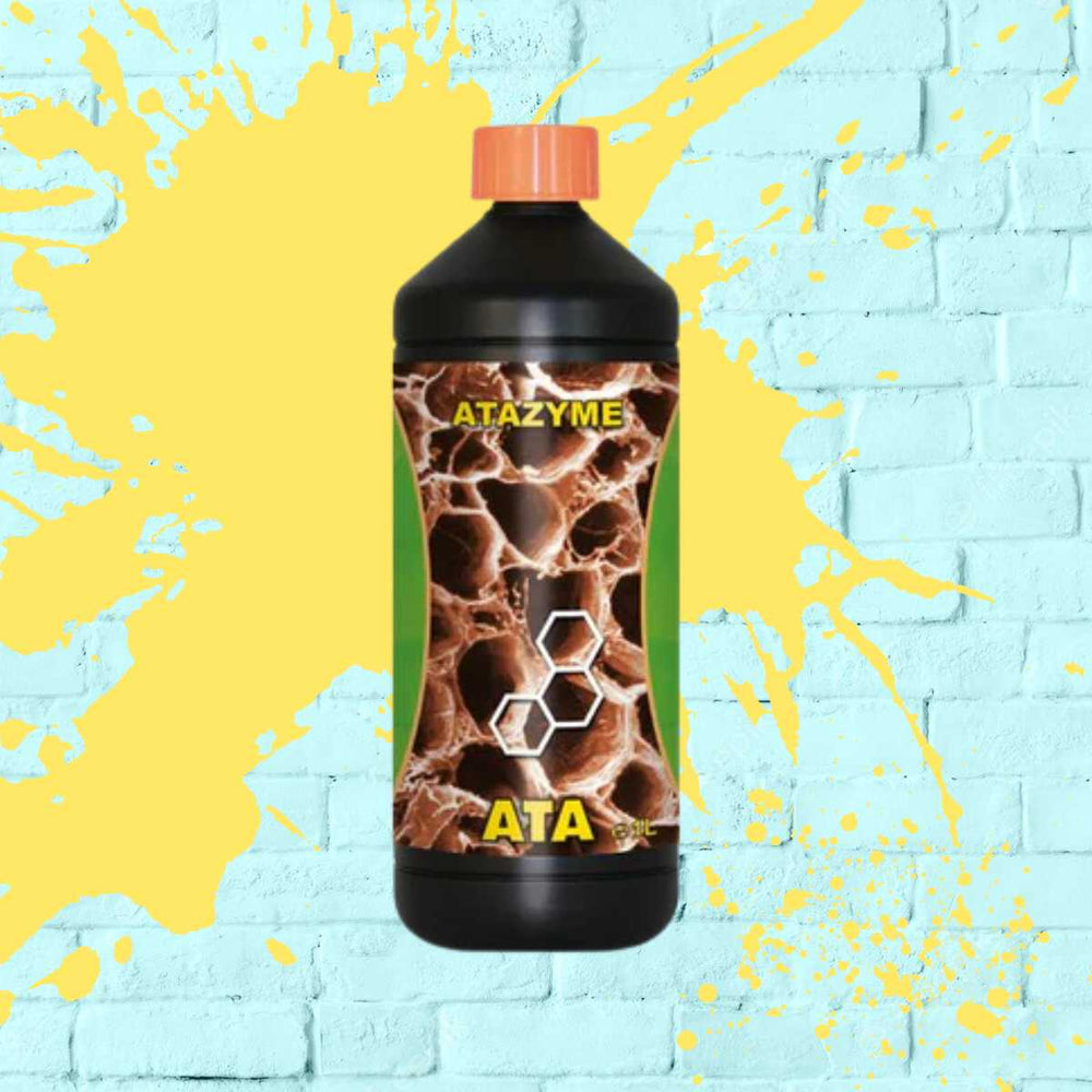 ATAMI ATA - ATAZYME - Black bottle - 1L