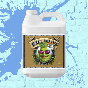 
            
                Charger l&amp;#39;image dans la galerie, Big Bud Coco - Advanced Nutrients - white bottle - 10L
            
        