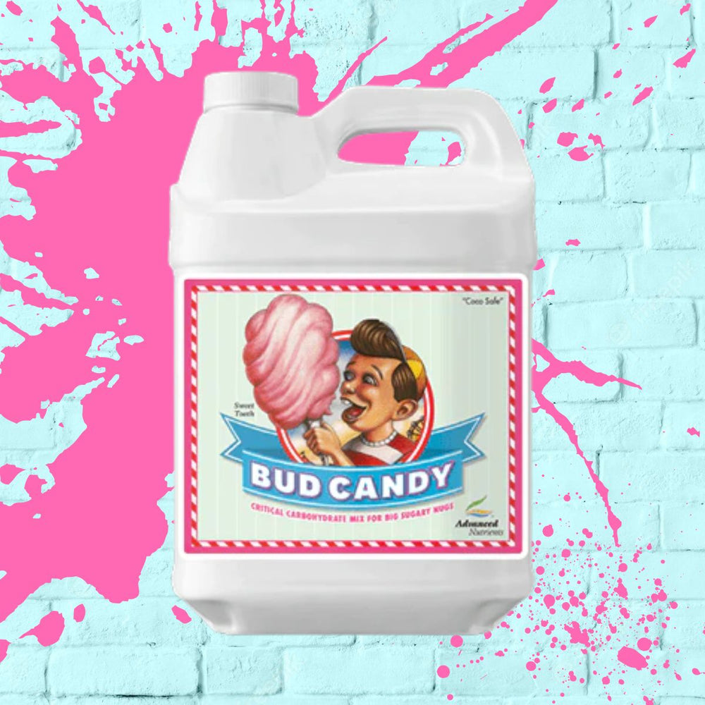 Bud Candy - Advanced Nutrients - White Bottle - 10L