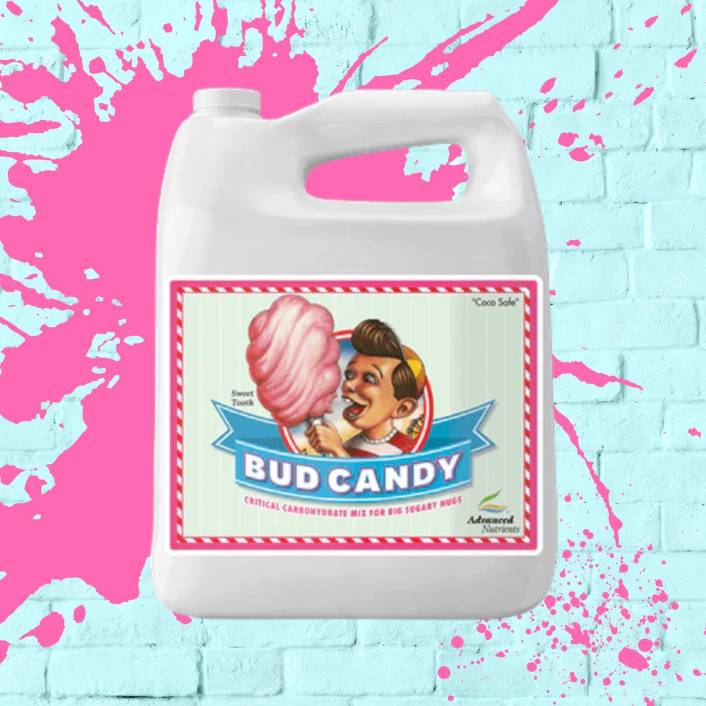 
            
                Load image into Gallery viewer, Bud Candy - Advanced Nutrients - White Bottle - 4L
            
        