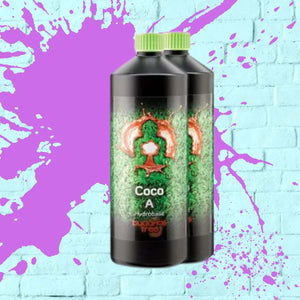 
            
                Load image into Gallery viewer, Buddha&amp;#39;s Tree Coco A + B - Black Bottle - 1L
            
        