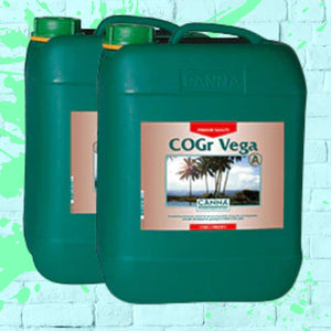 Canna CogR a+b 10L Green Jerry can bottle 10 Litre 10 Liter Vega