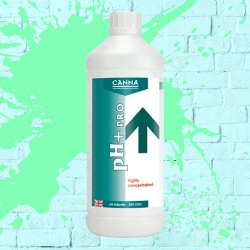 
            
                Load image into Gallery viewer, Canna ph Pro Plus 1L Bottle 
            
        